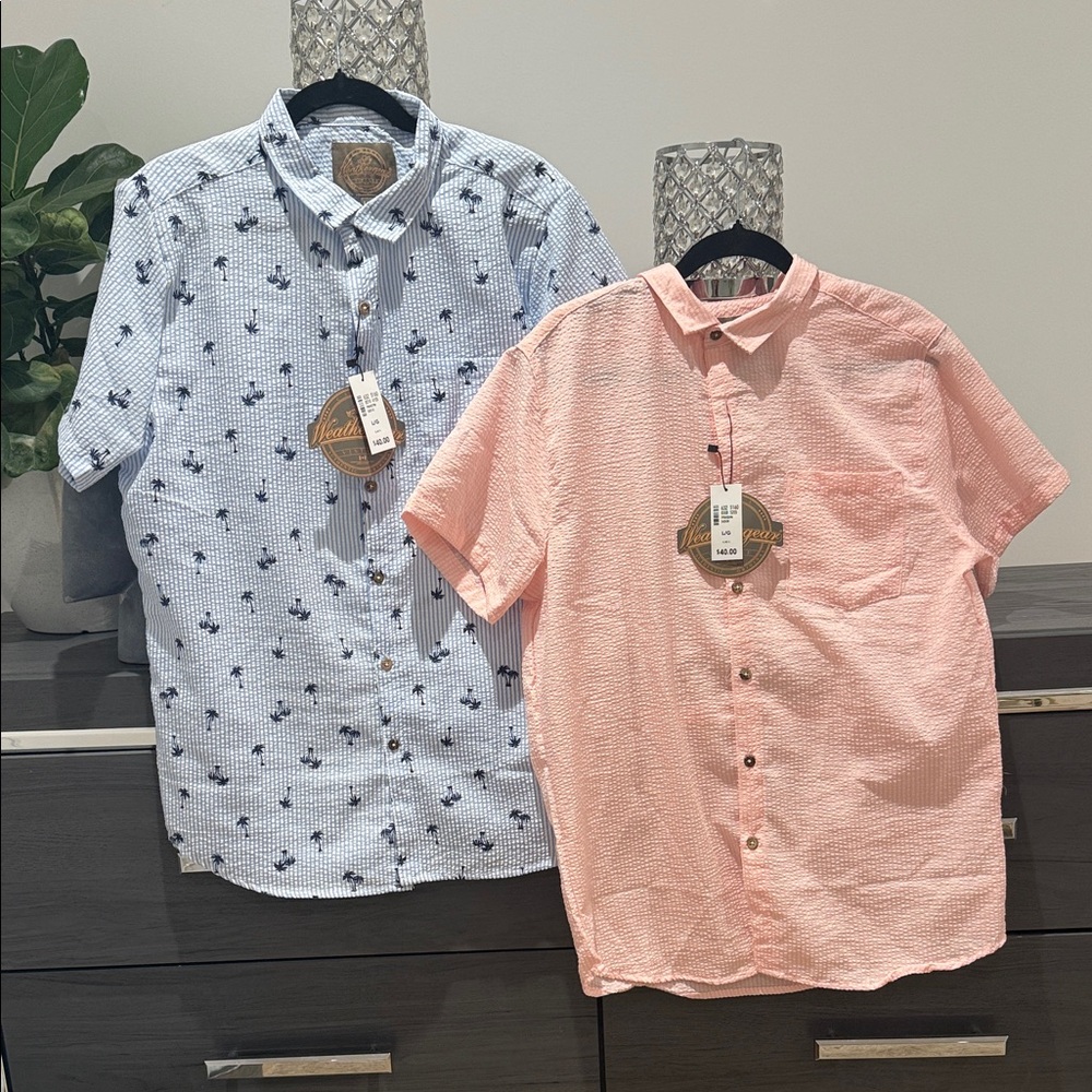 Seersucker Men's Blue and Pink Short Sleeve Butron Down Shirts